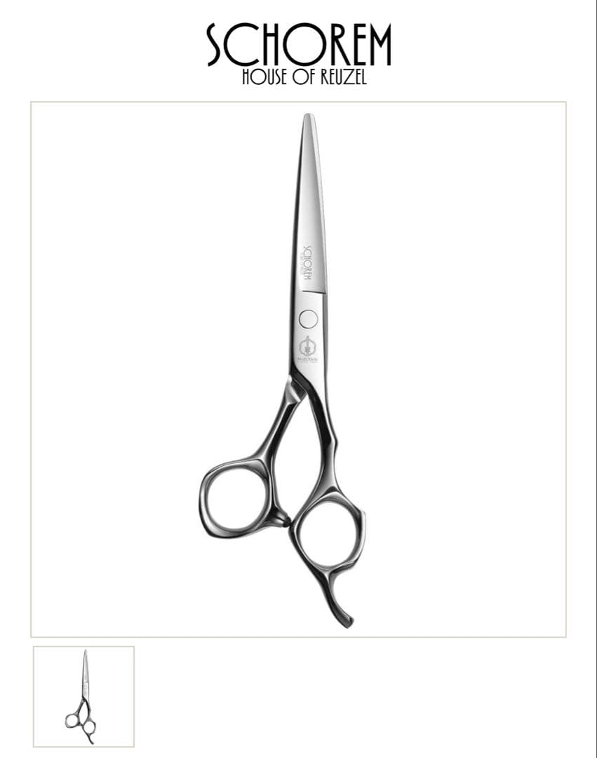 ミズタニシザーシザー　シュコーラムマスター　ミスターブラザーズ