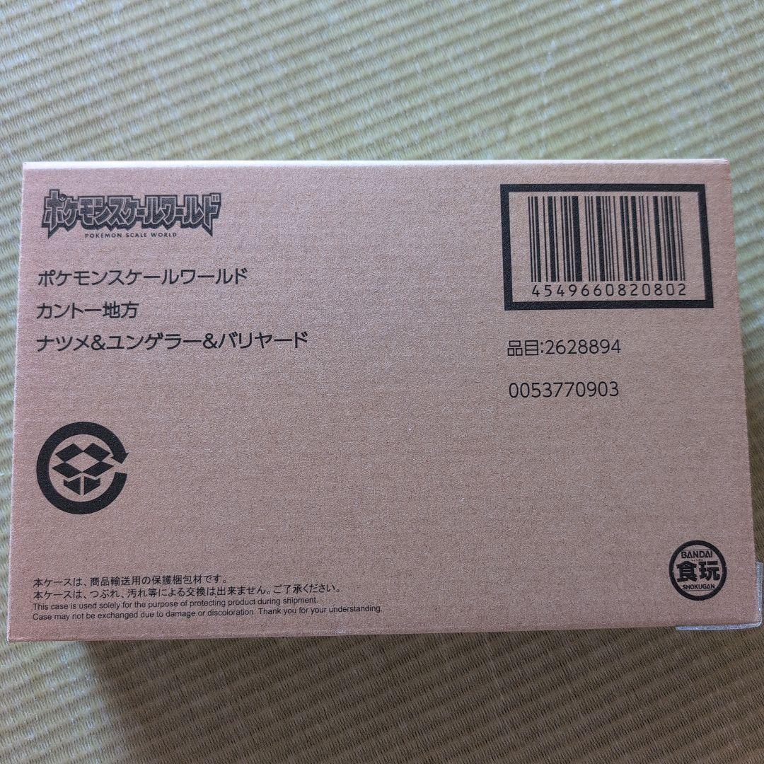 ポケモンスケールワールドカントー地方 ナツメ＆ユンゲラー