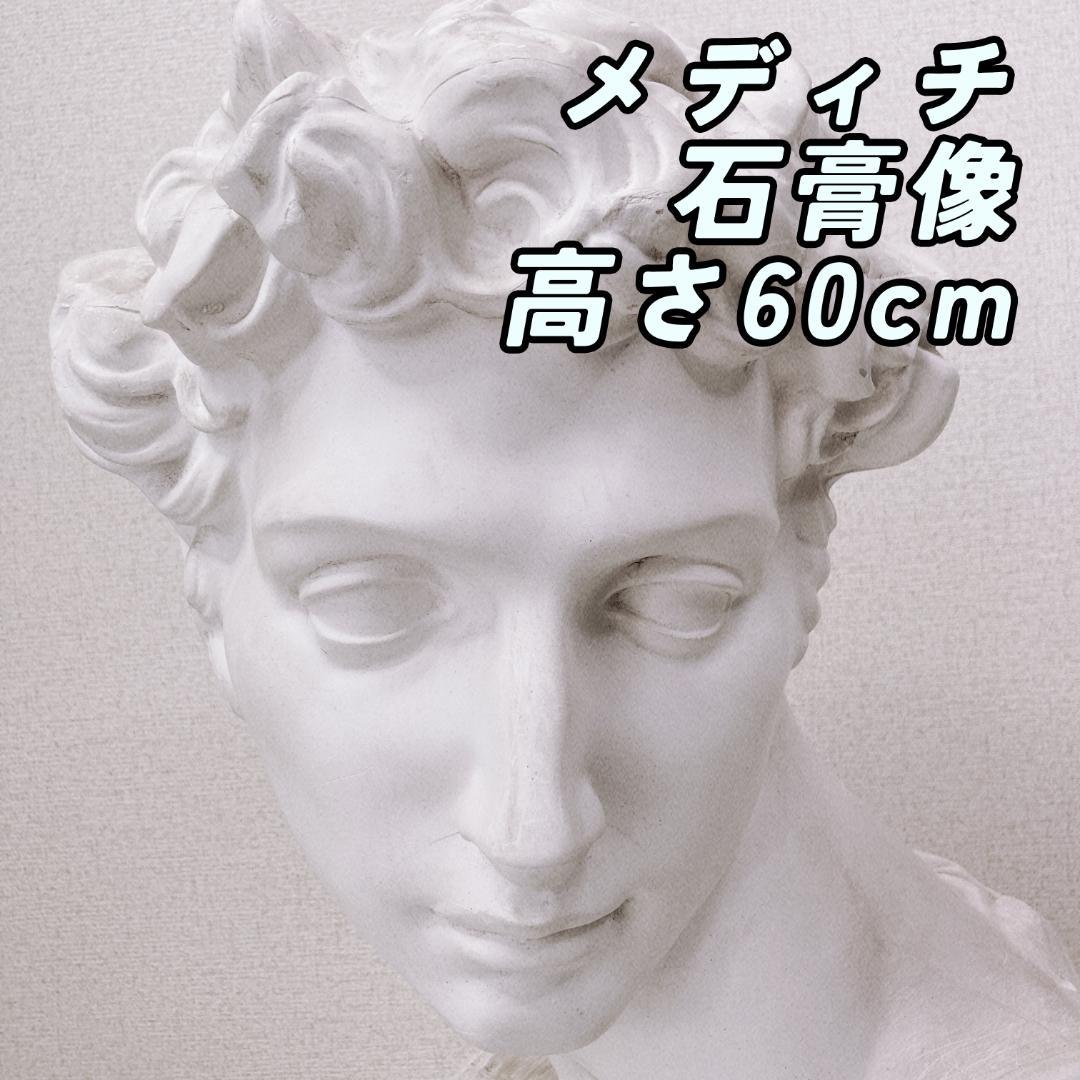 石膏像 メディチ 胸像 ダビデ像 古代ギリシャ ミケランジェロ デッサン