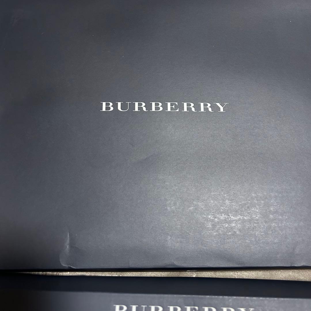 【新品未使用】BURBERRY 羽毛肌掛け布団　2枚セット　チェック柄