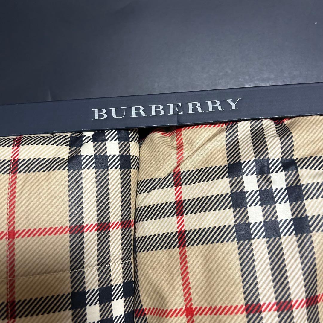 【新品未使用】BURBERRY 羽毛肌掛け布団　2枚セット　チェック柄