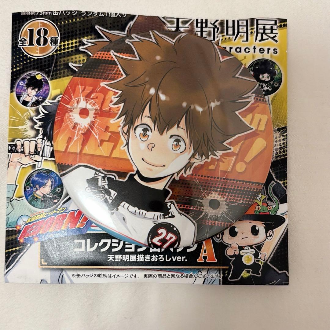 沢田綱吉 アニカプ 3点