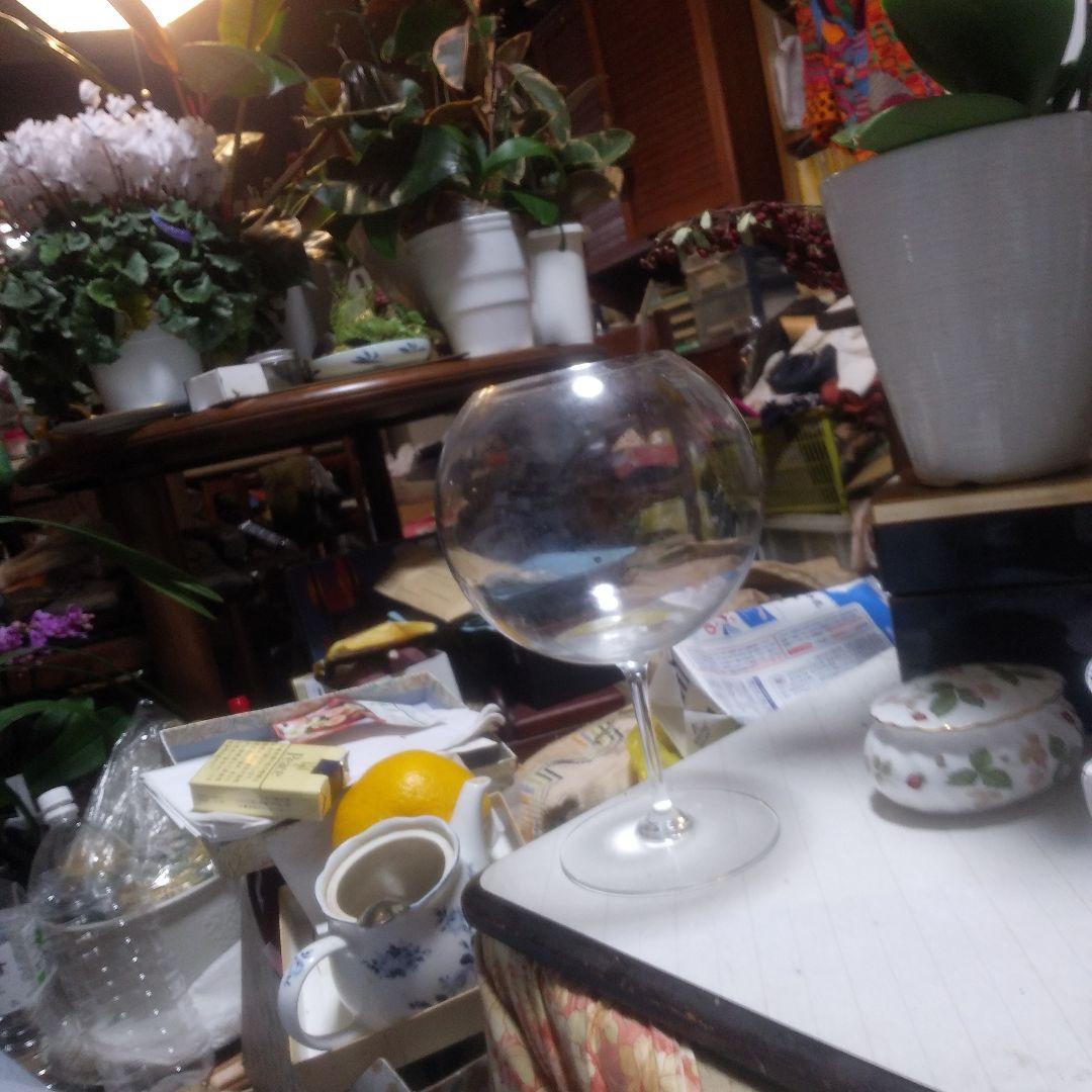 バカラ　グラス　TestingGlass