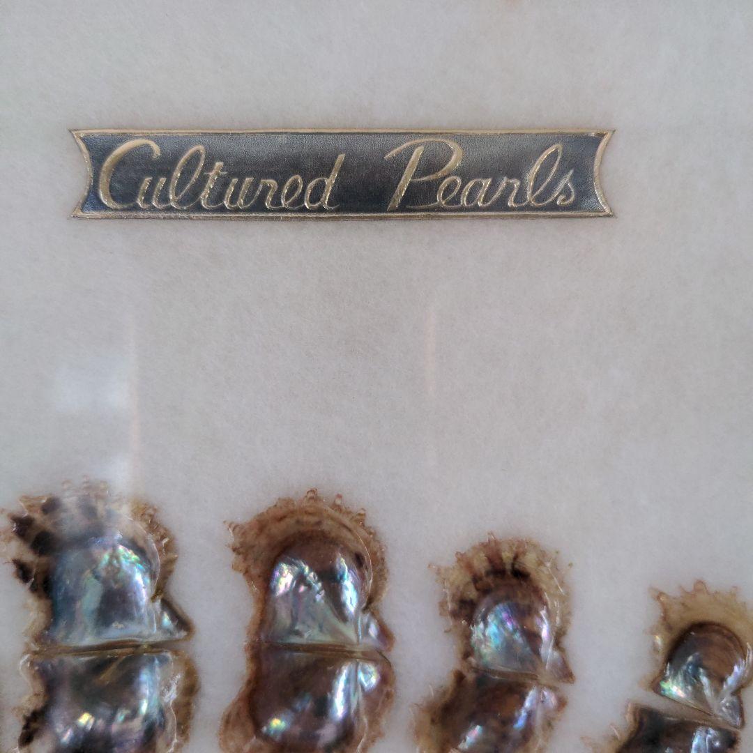 額　可愛い真珠の一生