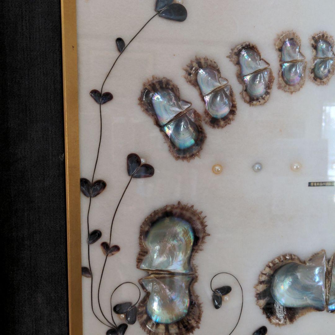 額　可愛い真珠の一生