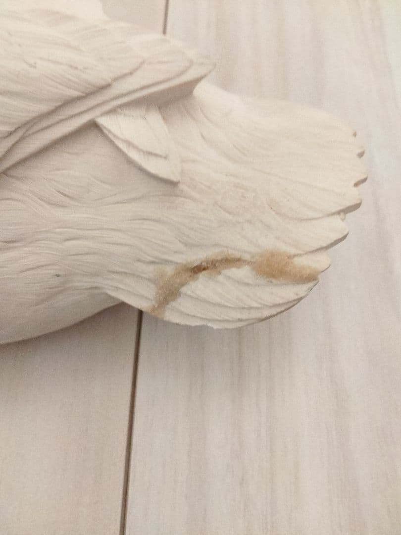 オオホシハジロのスタディバード　バードカービング