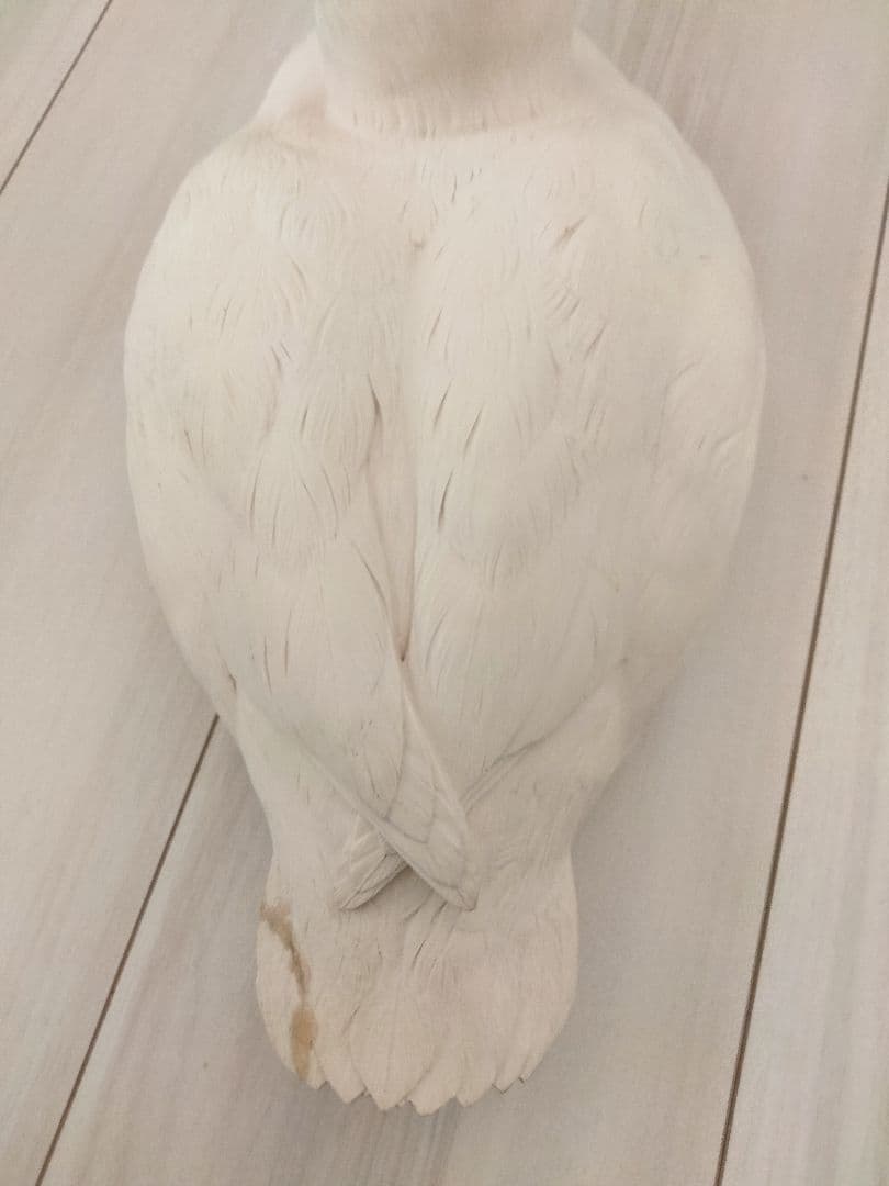 オオホシハジロのスタディバード　バードカービング