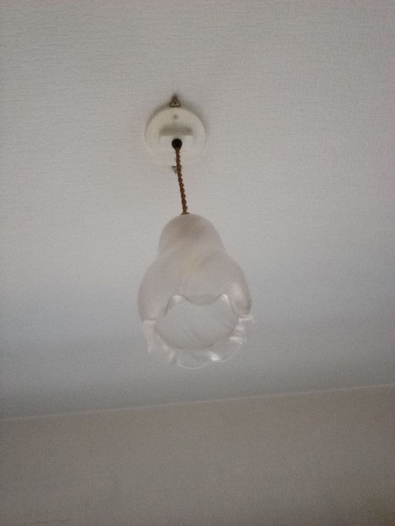 フランスのガラスシェード アンティーク