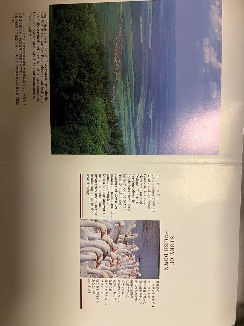 羽毛布団　ポーリッシュホワイトグース　1.4kg イエロー花柄　ブリヂストン