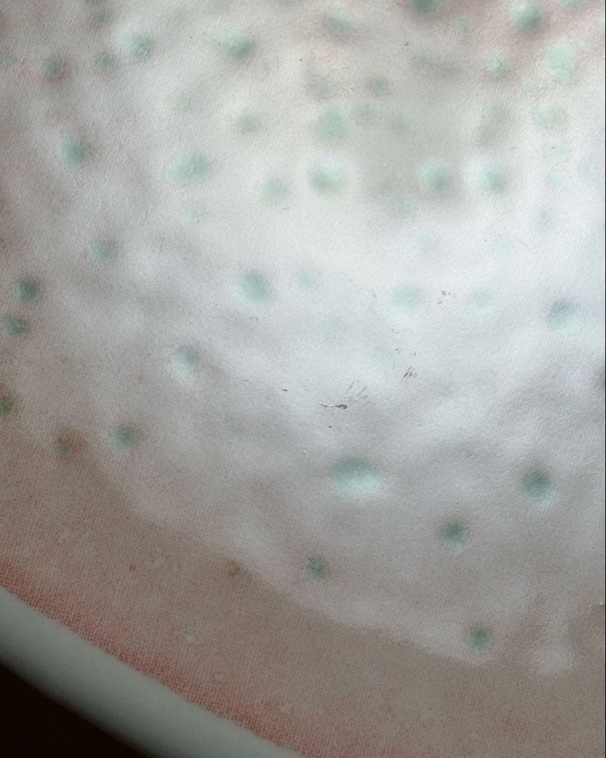 希少品】ARABIA ヘルヤ 