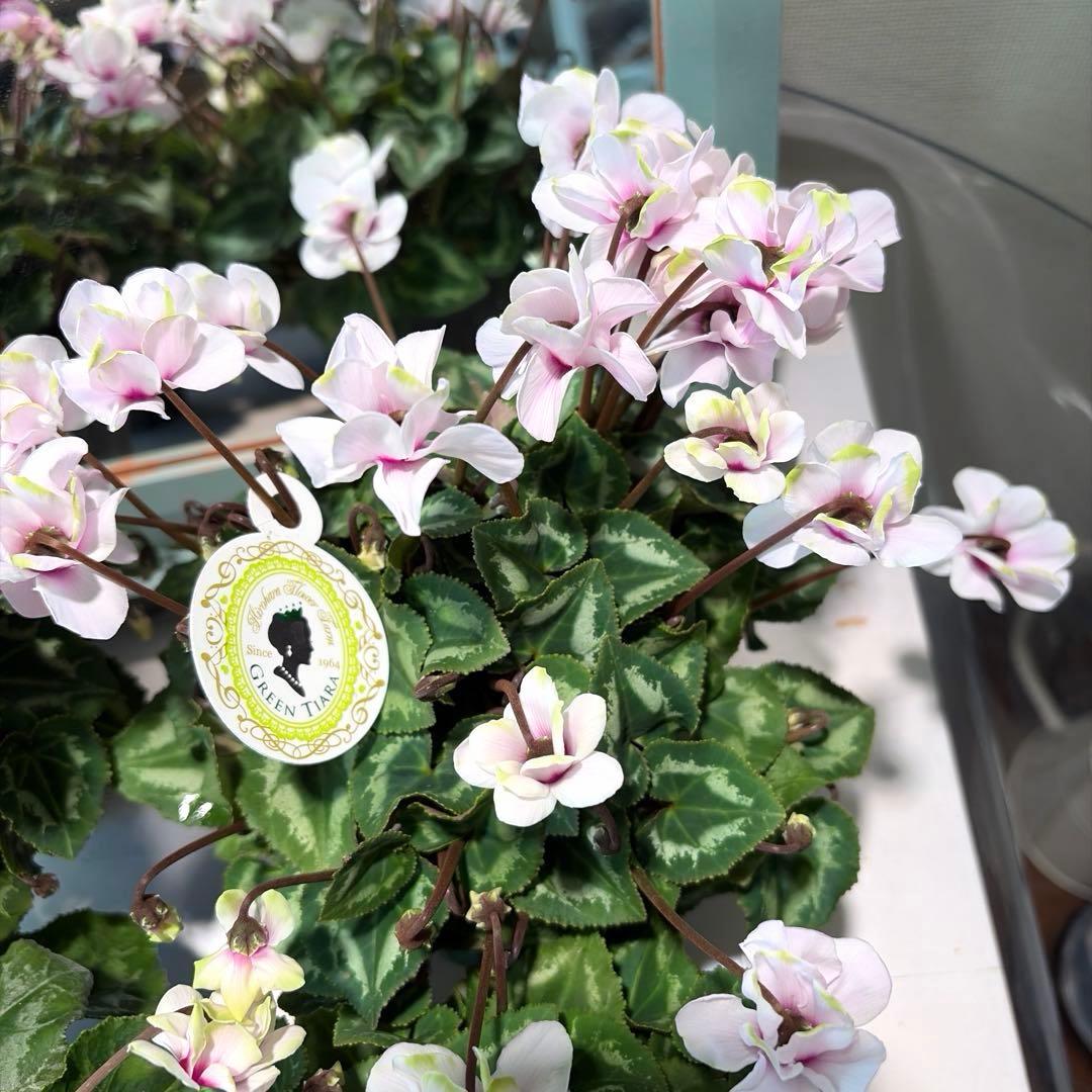 ayakaママ様　リクエスト　おまとめ5点