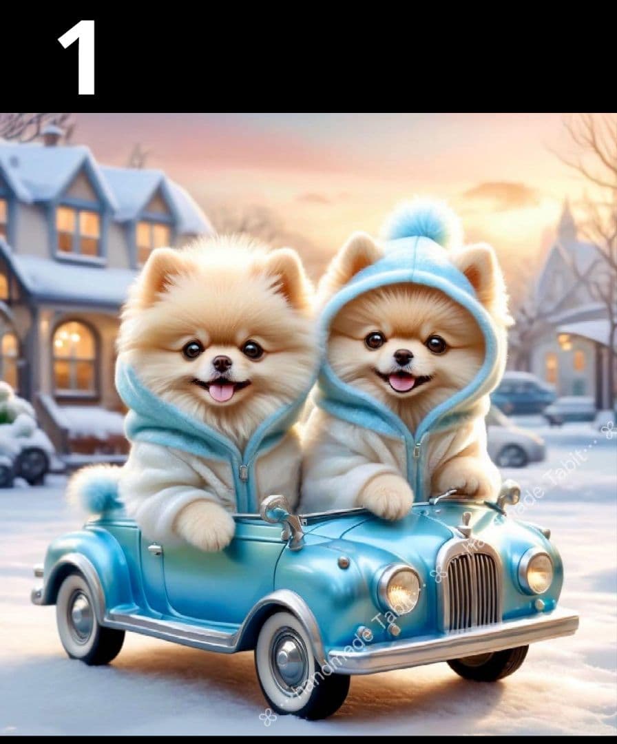 オーダーページ　ハンカチ　ポメラニアン柄ハンドメイド1/31