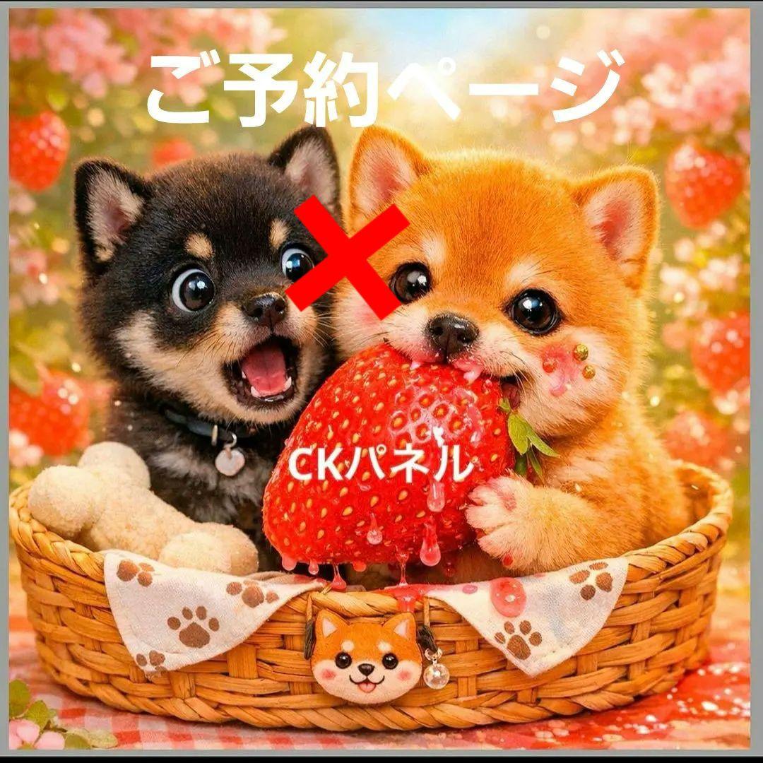 激レアいちごがぶり柴犬、ダックス、パグ、ポメラニアン、チワワ