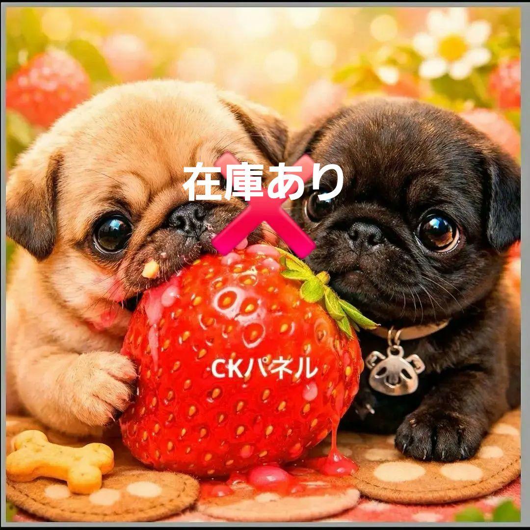 激レアいちごがぶり柴犬、ダックス、パグ、ポメラニアン、チワワ