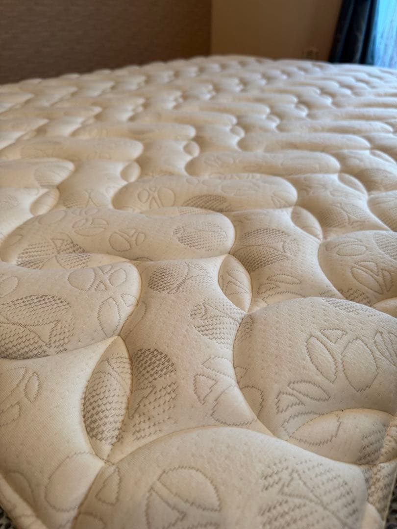 サータDペディック62F1Nミディアムハード