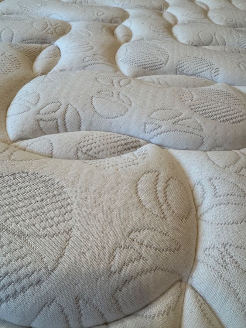 サータDペディック62F1Nミディアムハード