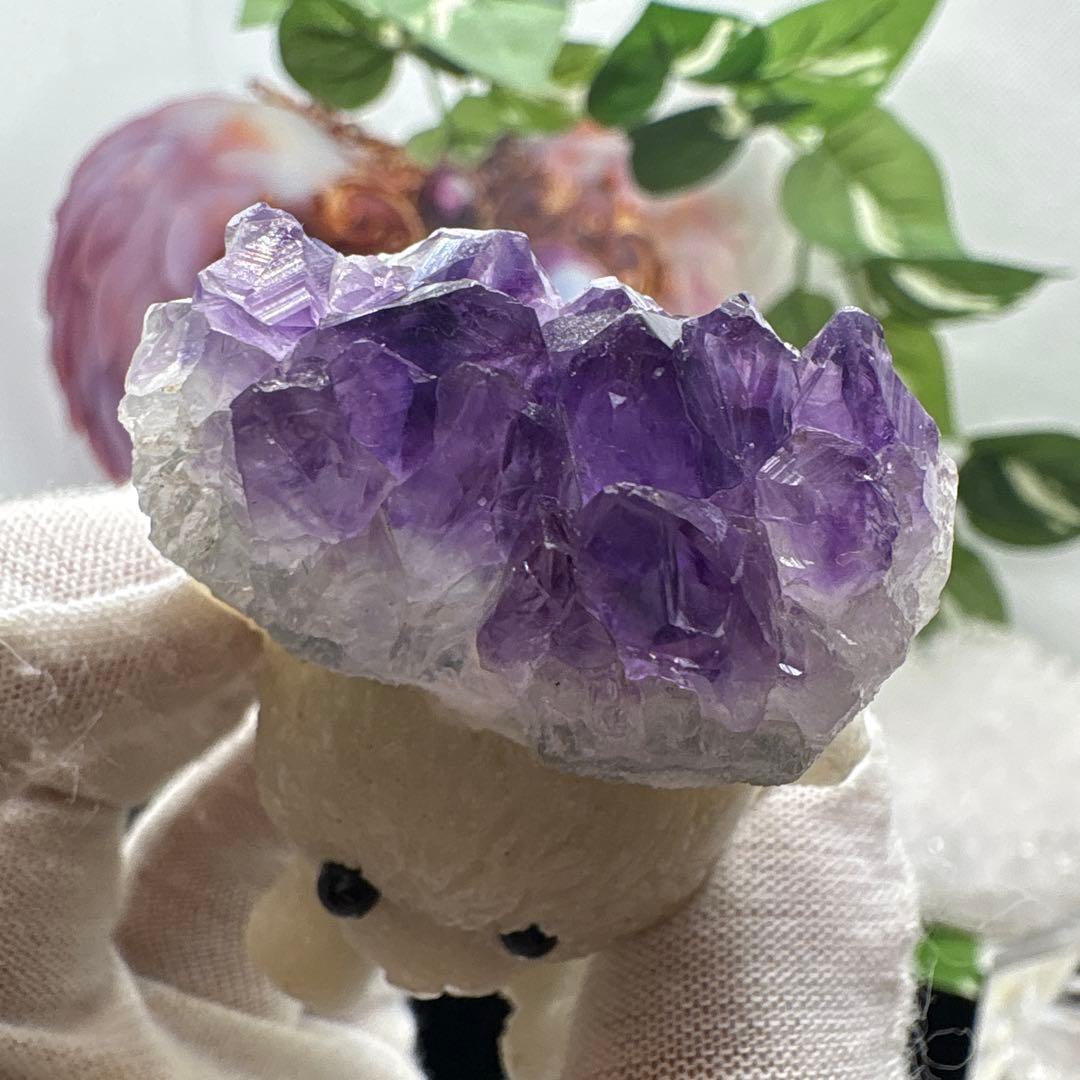 rin様アラバスター×アメジストクラスターくまちゃん♡No.1517