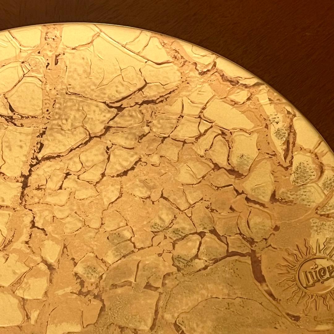 【希少品】新品　リチャードジノリ★イタリアワインLUCE★コラボ　ラージプレート