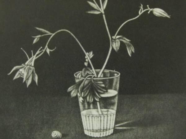 長谷川 潔、巨匠、アンコリの花/マニエルノワール・レゾネ、額装