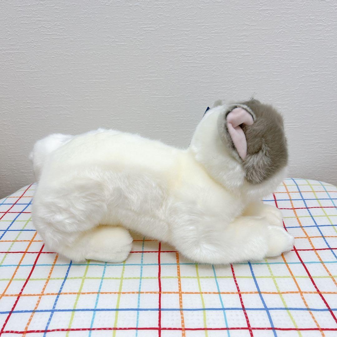 ぬいぐるみ ブリティッシュショートヘア ハチワレ リアルな猫のぬいぐるみ