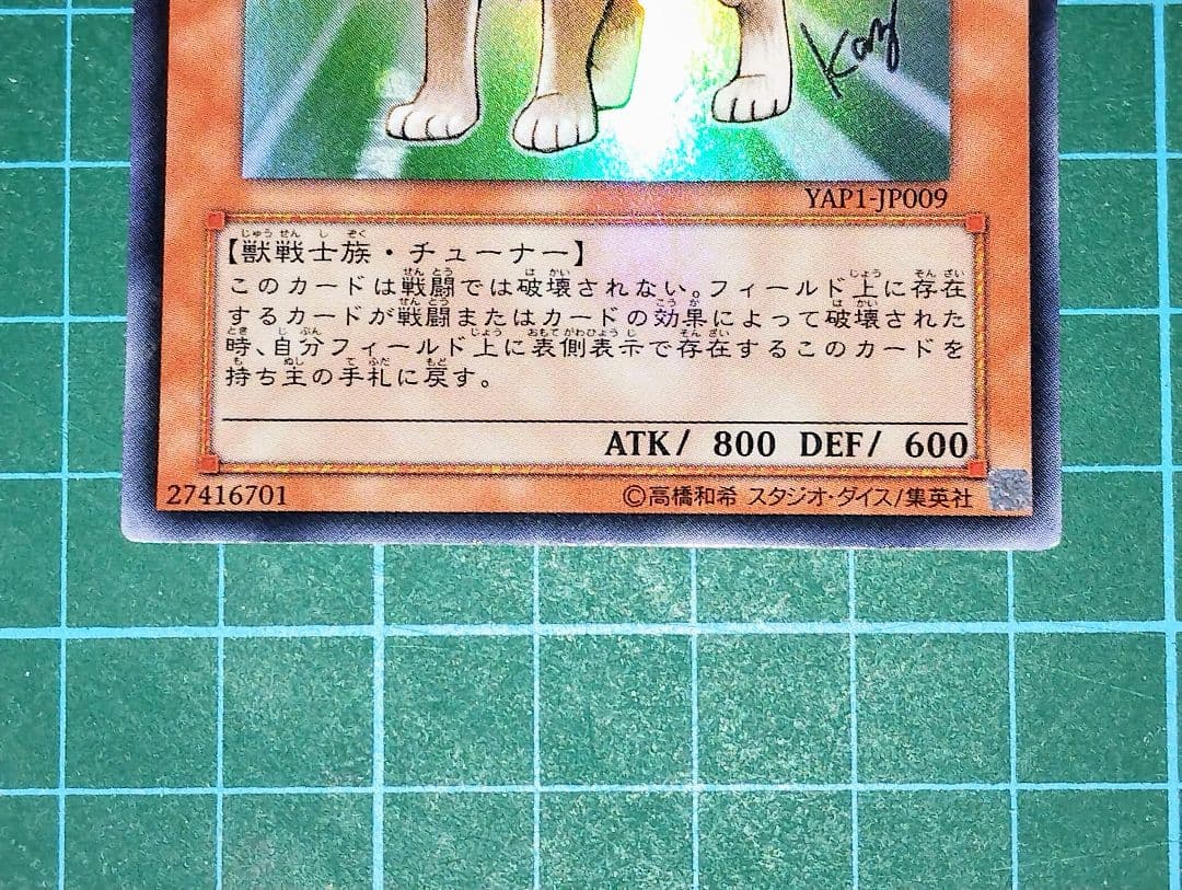 【激レア！？】遊戯王　エラーカード　柴戦士タロ　ふりがなズレ