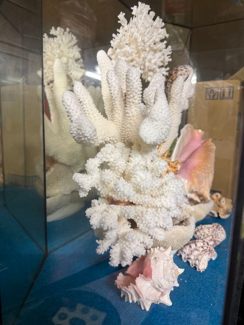 珊瑚　置物　大型　オブジェ　アンティーク　最終価格