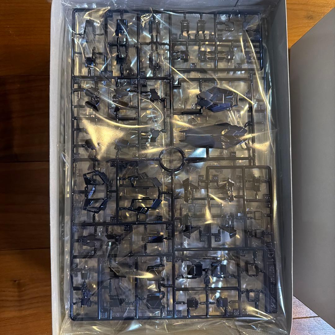 RG ユニコーンガンダムフェネクス & バンシィノルン　コーティング　未組み立て