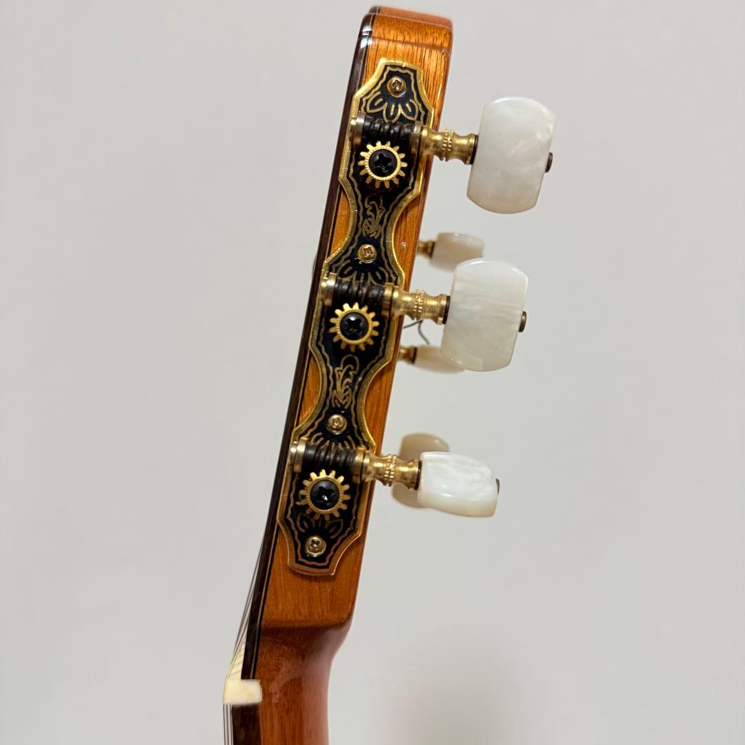 極美品 エレガット Aria A-58CWE/M 薄胴 - メルカリ