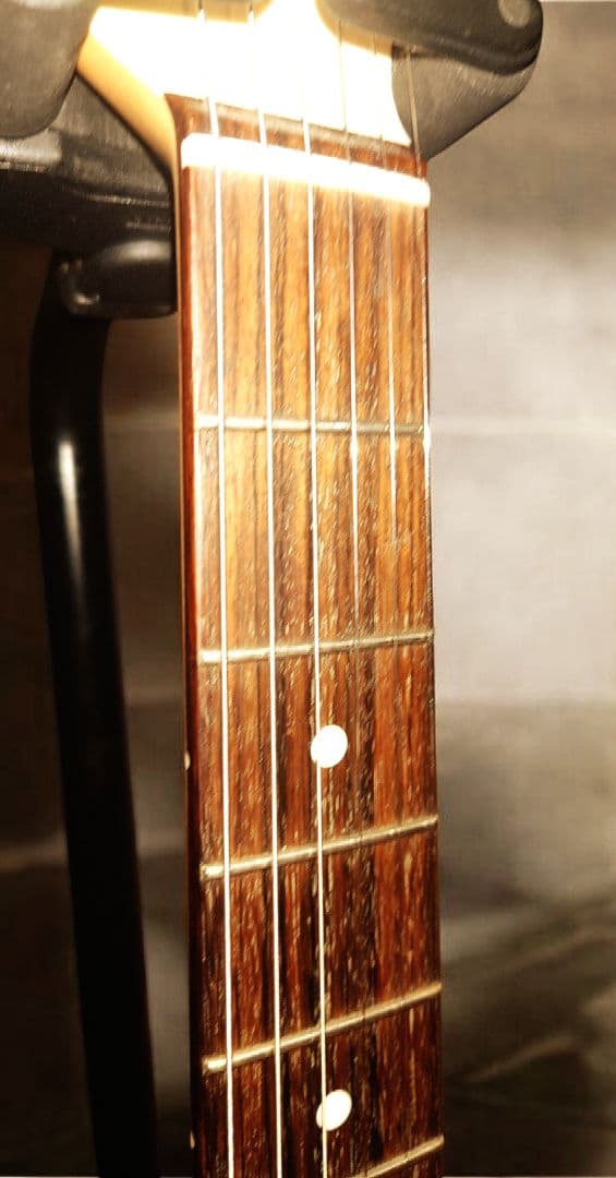 イ*ル様 【軽量2.96kg！】サイケデリズム シンライン テレキャスター