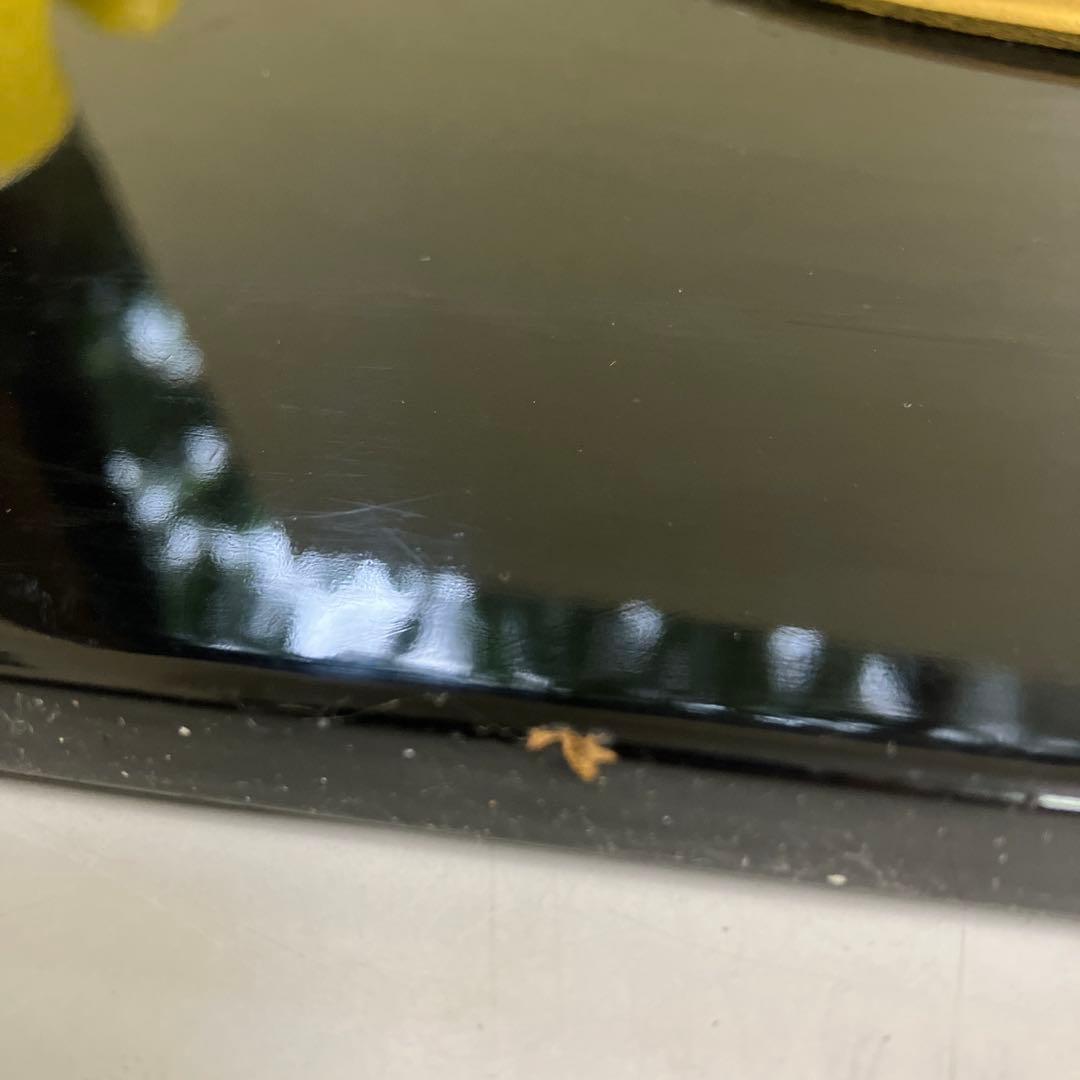 高級漆芸 金地 柚子文様 飾り額 パネル 黒塗り 漆器 漆芸 装飾 蒔絵 柑橘系