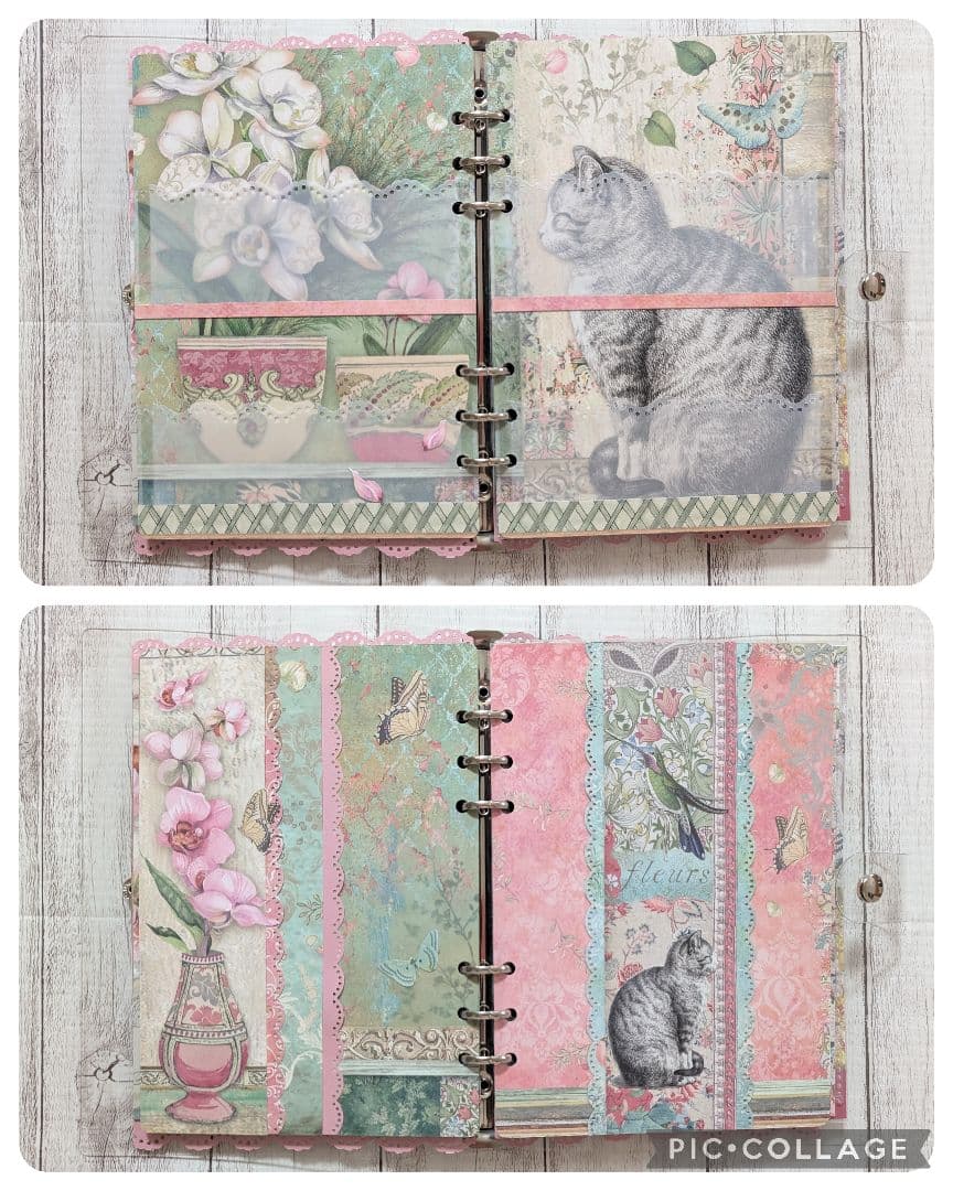 【専用】おすそ分けファイル♡ スタンペリア・Orchids and cats♡