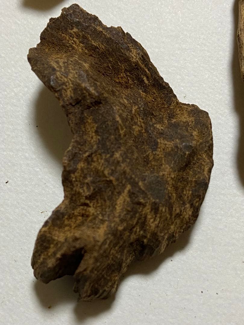 天然沈水沈香木詰め合わせ　10g