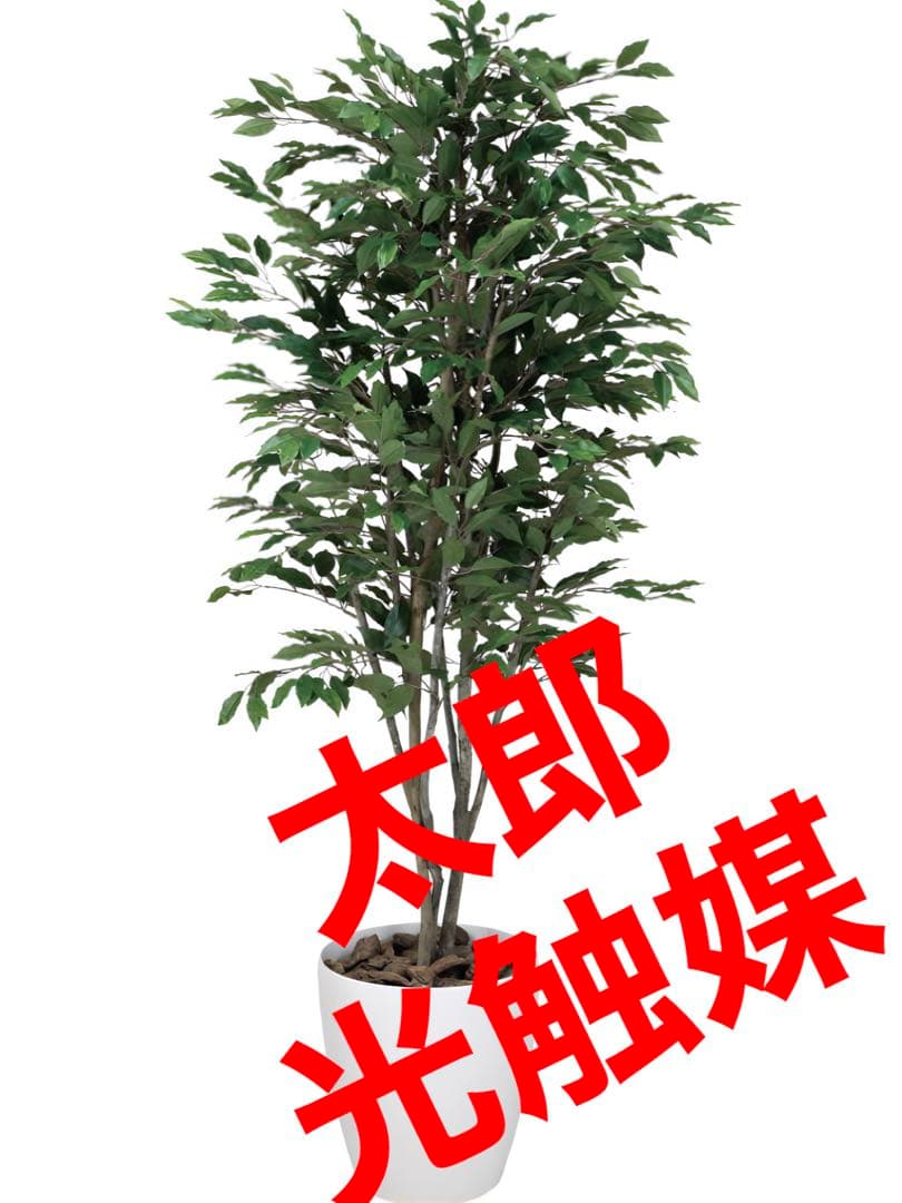 光触媒　人工観葉植物　フェイクグリーン　ベンジャミンツリー 1.8m