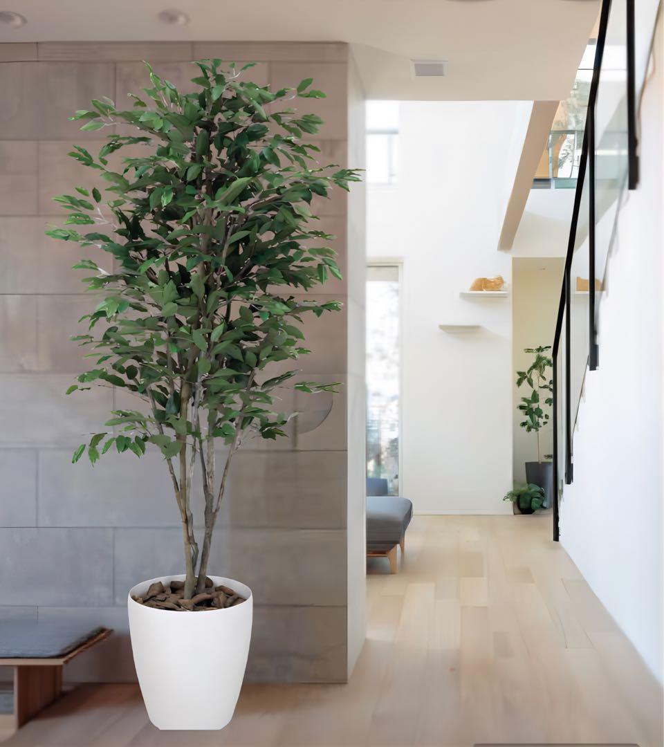 光触媒　人工観葉植物　フェイクグリーン　ベンジャミンツリー 1.8m