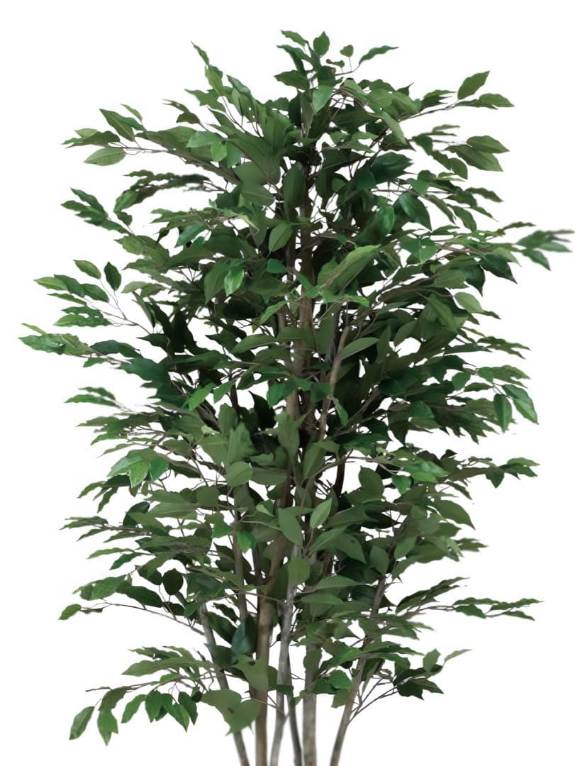 光触媒　人工観葉植物　フェイクグリーン　ベンジャミンツリー 1.8m