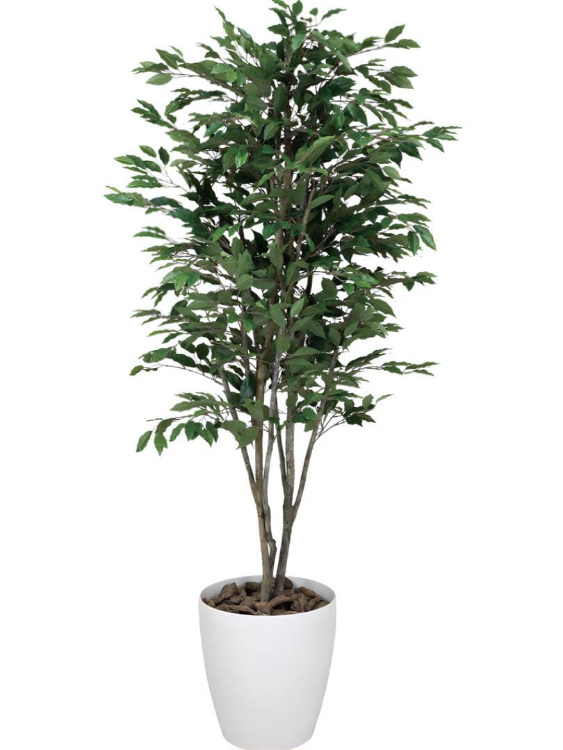 光触媒　人工観葉植物　フェイクグリーン　ベンジャミンツリー 1.8m