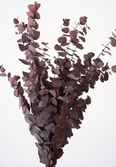 約60cm・ブリックオレンジのワイルドロングスワッグ　ふっくら LLタイプ