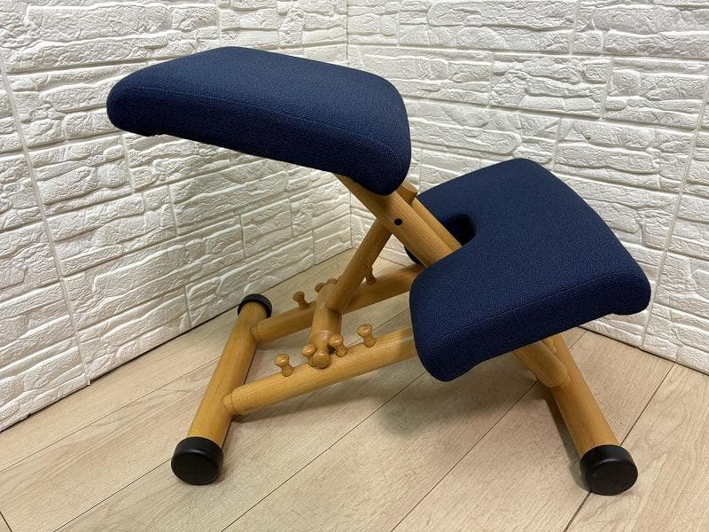 VARIER ヴァリエール ストッケ マルチ バランスチェア