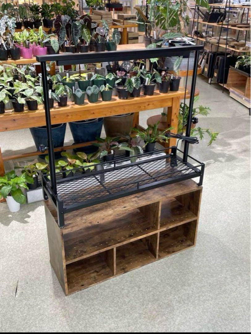 塗装前完成品　1台のみ　アイアン植物棚　ミニ植物棚　特別細めエキスパンドメタル