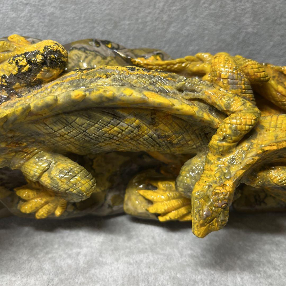 お値下げ❣️バンブルビー　イグアナ親子　全長 25cm