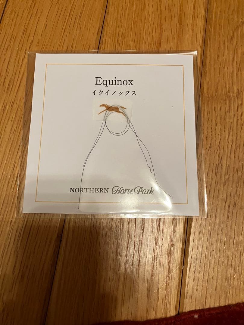 イクイノックス　鬣　たてがみ　2022 日本ダービー　C・ルメール騎手直筆サイン