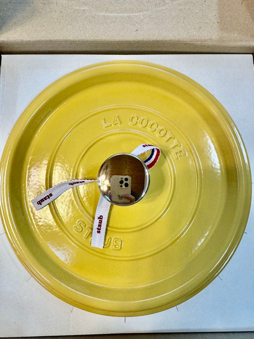 STAUB ストウブ ラウンドココット シトロン 22cm 限定色 入手困難