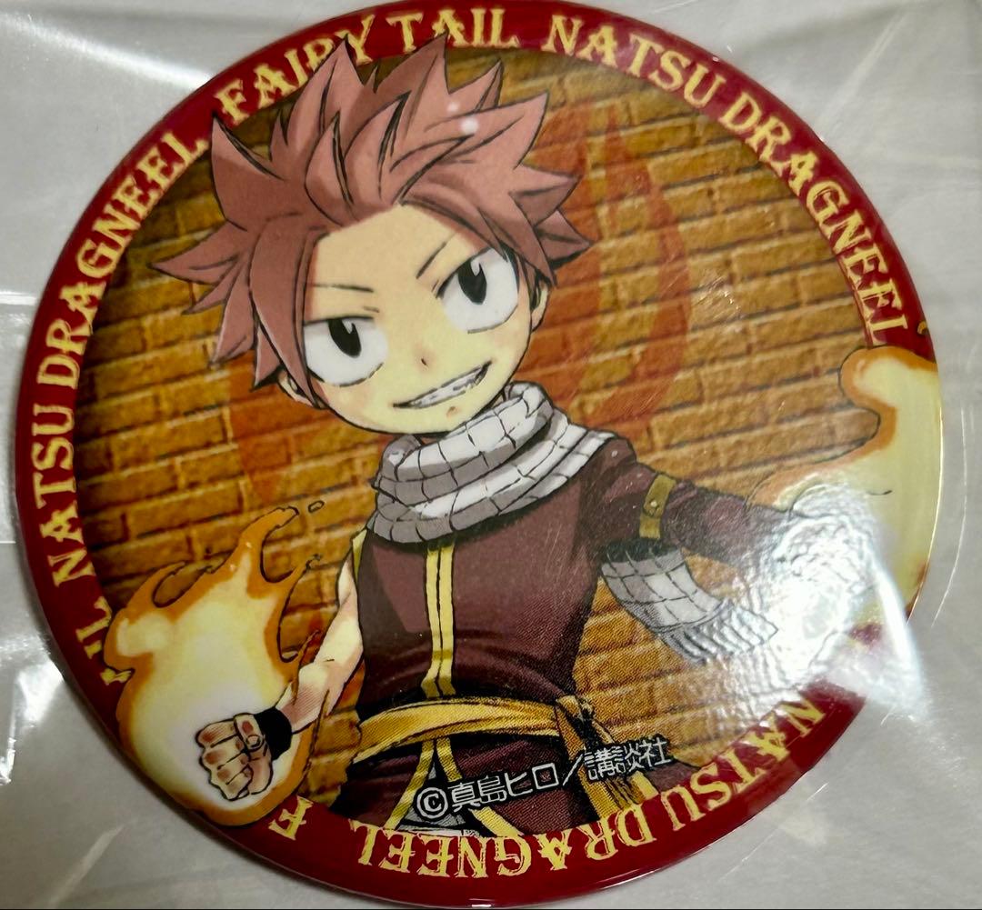 FAIRYTAIL RAVE 真島ヒロ原画展 缶バッジ エリー ジーク ナツ - メルカリ