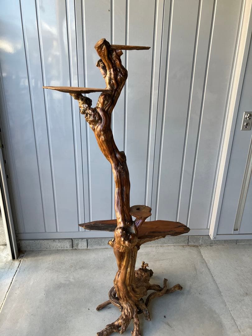 流木飾り台、サルスベリ