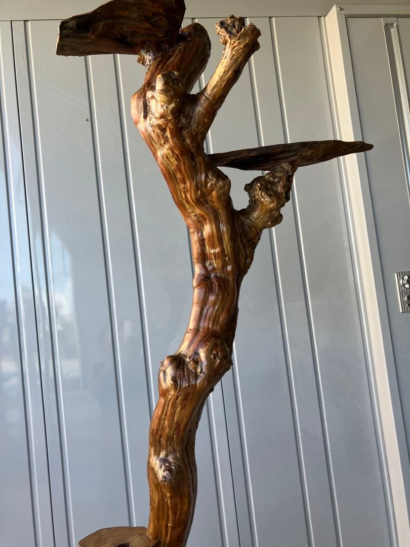 流木飾り台、サルスベリ