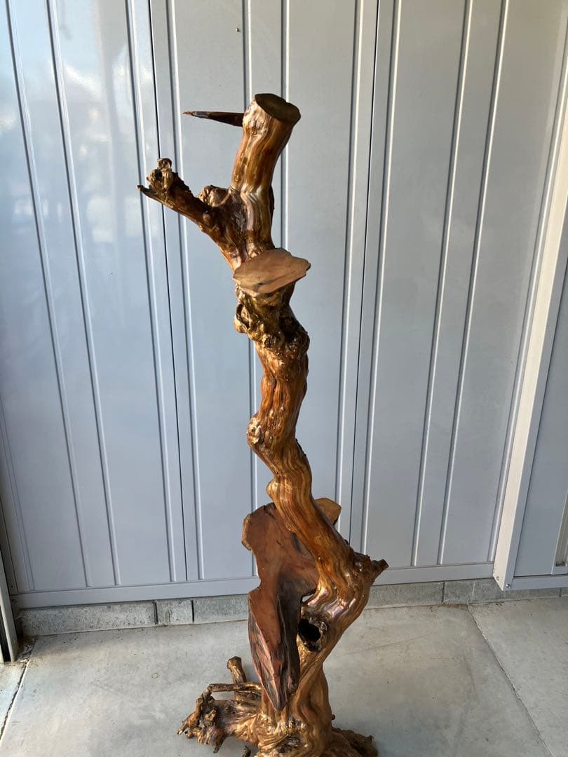 流木飾り台、サルスベリ