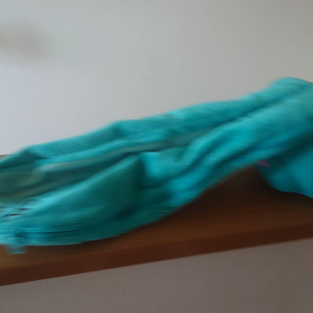 チャックスGP 汎用うさぎ デュアル ペンポーチ ターコイズブルー グル