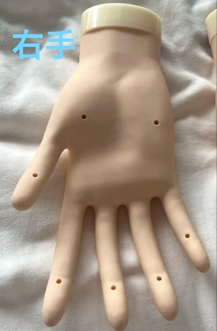 JNEC認定モデルハンド(骨折なし)の通販｜www.k4fashion.com