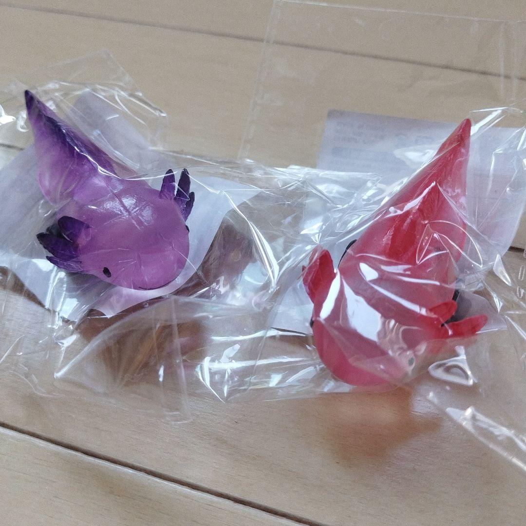 新品☆爆走！クリアウーパールーパー 2色セット - メルカリ