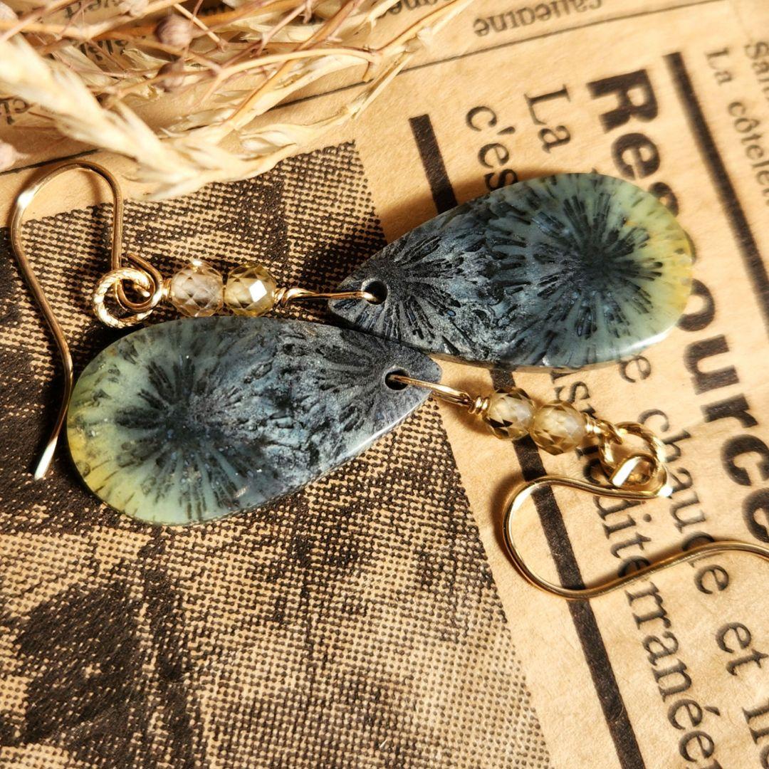 レアグリーンフォッシルコーラル 14 kgfピアス - メルカリ